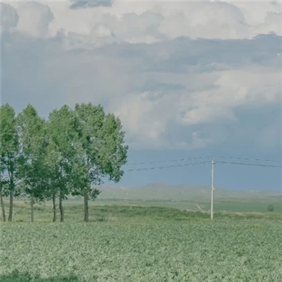 微信头像2023年最新版图片(精选18张)