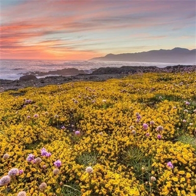 微信头像2023年最新版图片(精选18张)