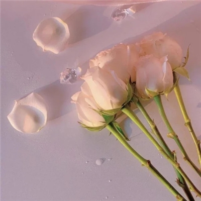 微信头像2023年最新版图片(精选18张)