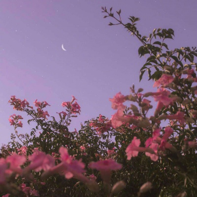 中年女人高雅微信头像高清(精选18张)