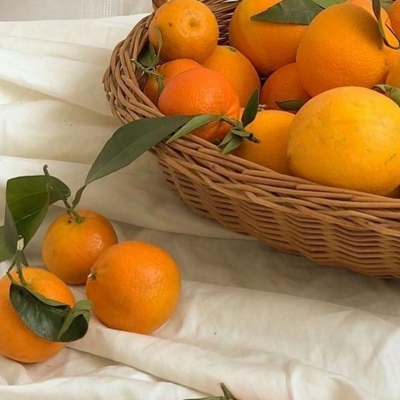 中年女人高雅微信头像风景(精选18张)