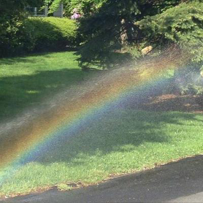 又简单又好看的头像(精选21张)