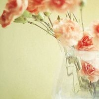 清新淡雅气质头像(24张)