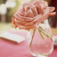 清新淡雅气质头像(24张)