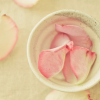 清新淡雅气质头像(24张)