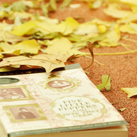 清新淡雅气质头像(24张)