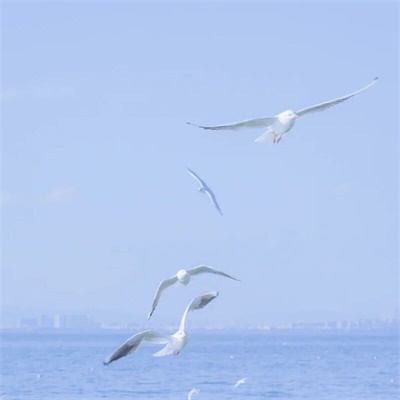 微信头像简约个性头像(27张)