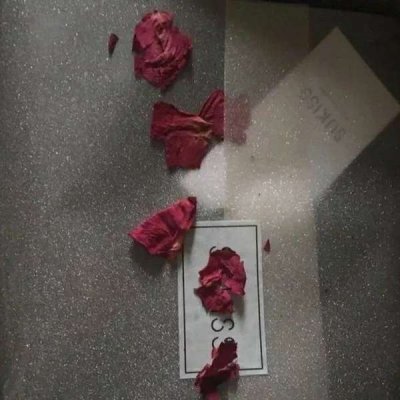 微信头像简约个性头像(27张)