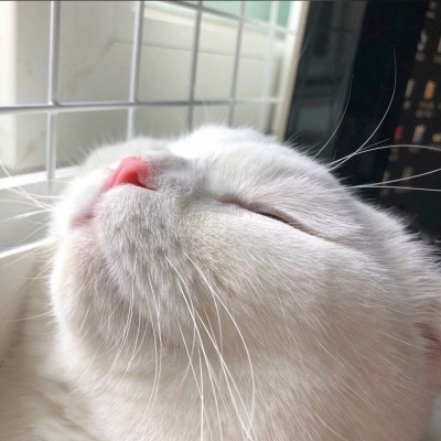 微信头像简约个性头像(27张)