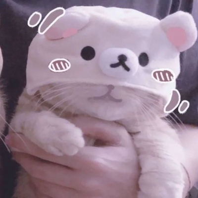 适合憨憨的头像(精选18张)