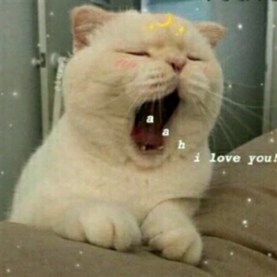 适合憨憨的头像(精选18张)