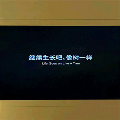 2023超好看的背景图片头像(精选26张)