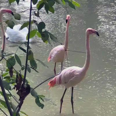 2023超好看的背景图片头像(精选26张)