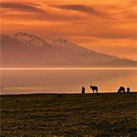 qq空间风景头像图片(精选18张)