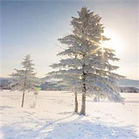 qq空间风景头像图片(精选18张)