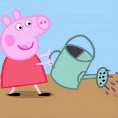 两只猪的情侣头像(精选24张)