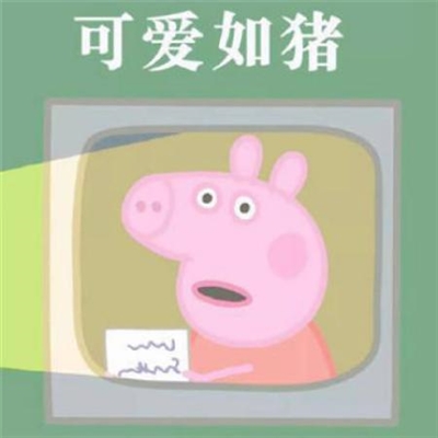 两只猪的情侣头像(精选24张)