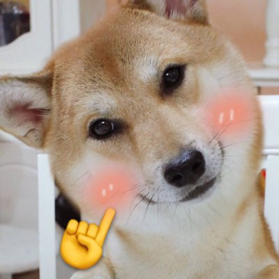 一猫一狗萌萌哒情侣头像(精选24张)