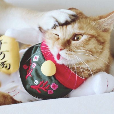 一猫一狗萌萌哒情侣头像(精选24张)