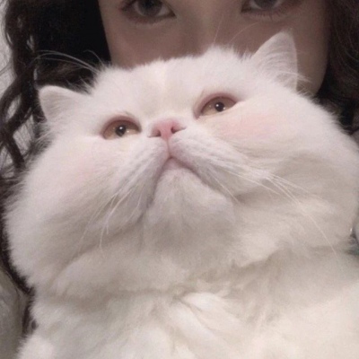 一男一女带宠物的情侣头像(精选22张)