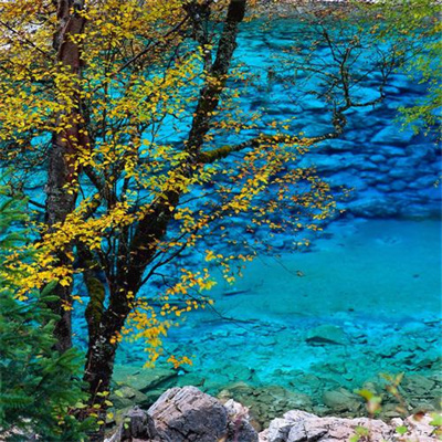 最吉利的山水微信头像(24张)