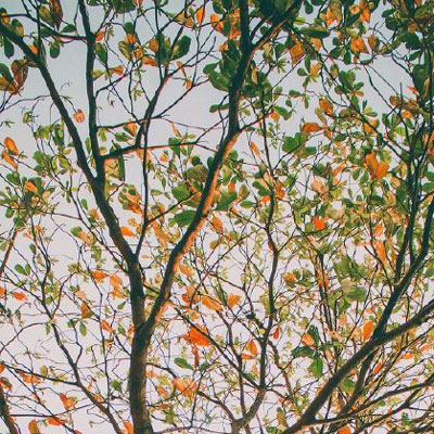 唯美意境的微信头像(精选24张)