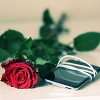 唯美意境的微信头像(精选24张)