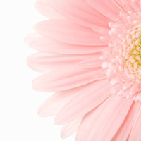 唯美意境的微信头像(精选24张)