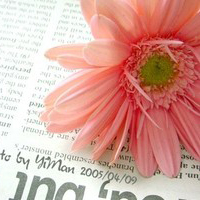 唯美意境的微信头像(精选24张)