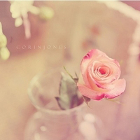 唯美意境的微信头像(精选24张)