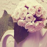 唯美意境的微信头像(精选24张)