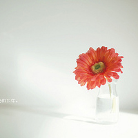 唯美意境的微信头像(精选24张)