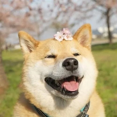 适合一辈子不换的头像(精选24张)