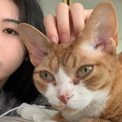 很有气质的情头(精选24张)