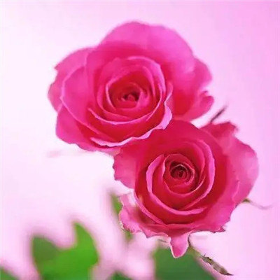 快手头像2023最火爆男(18张)