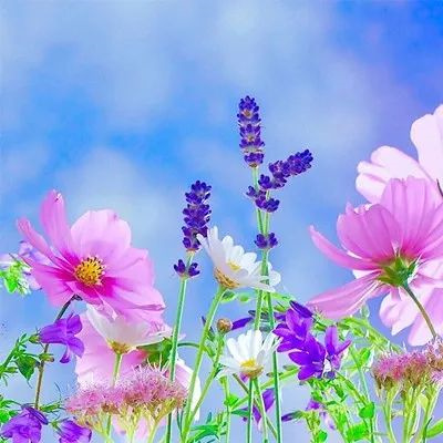 好运气的风景图片头像大全(24张)