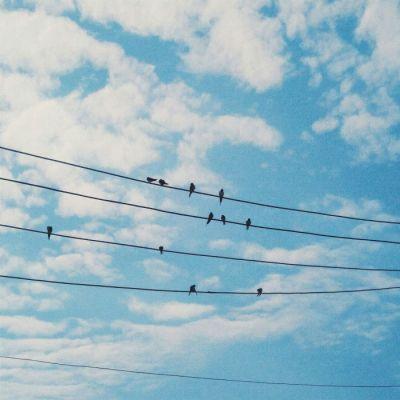 好运气的风景图片头像大全(24张)