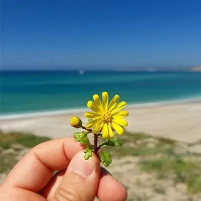 好运气的风景图片头像大全(24张)