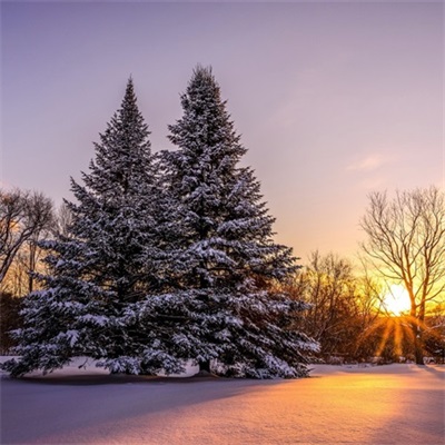 最好旺财山水风景图片微信头像(24张)