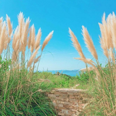 最好旺财山水风景图片微信头像(24张)