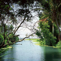 风水山水画头像(精选24张)
