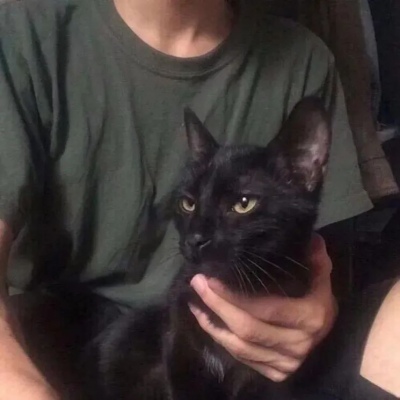 抖音爆火的丧头像(18张)