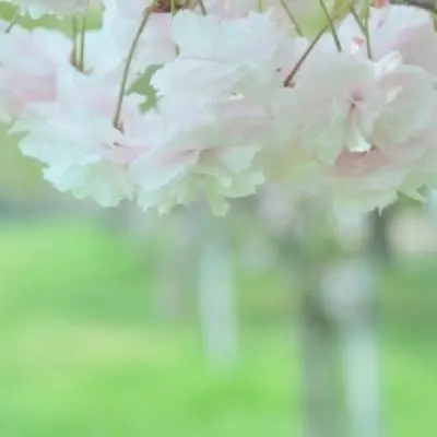 一生好运的女人微信头像(精选22张)