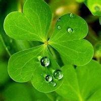 一生好运的女人微信头像(精选22张)