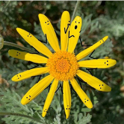 一生好运的女人微信头像(精选22张)