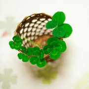 四叶草的幸福微信头像(24张)