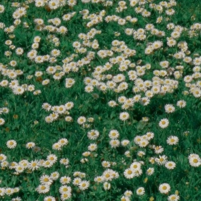 女人招财运的微信头像(精选24张)