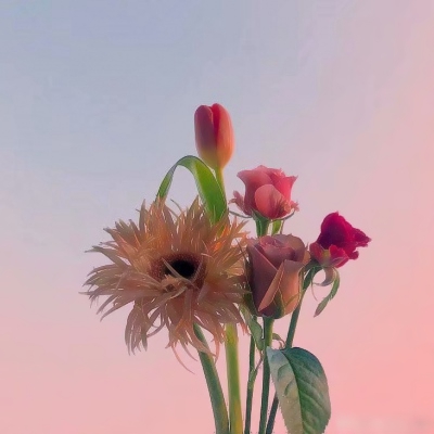 风景图片头像微信头像大全(精选32张)