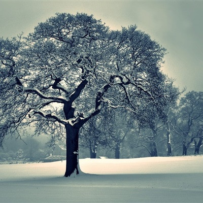 风景图片头像微信头像大全(精选32张)