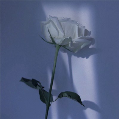 女人吉利健康好运的微信头像(34张)